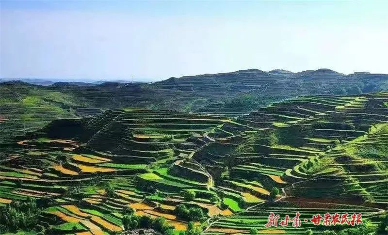 层层梯田草木葱茏