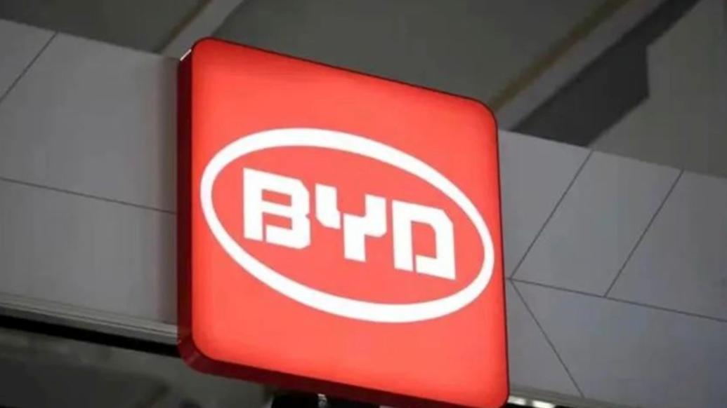 比亚迪法务部：拟起诉“龙猪-集车”索赔500万元