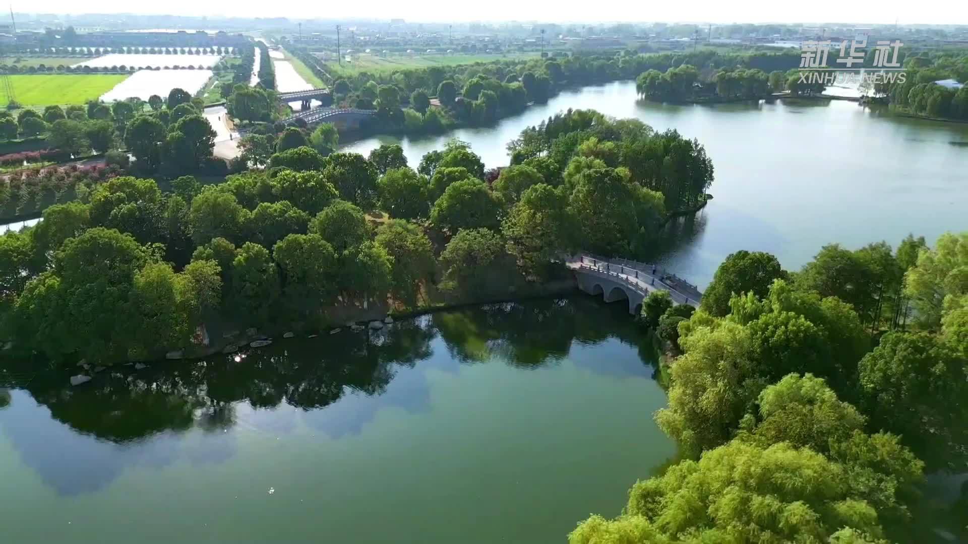 安徽颍上：夏日湿地风光美