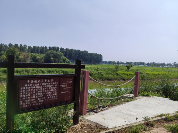 2023年河北省美丽休闲乡村媒体行——在沧州青县体验生态人文之美