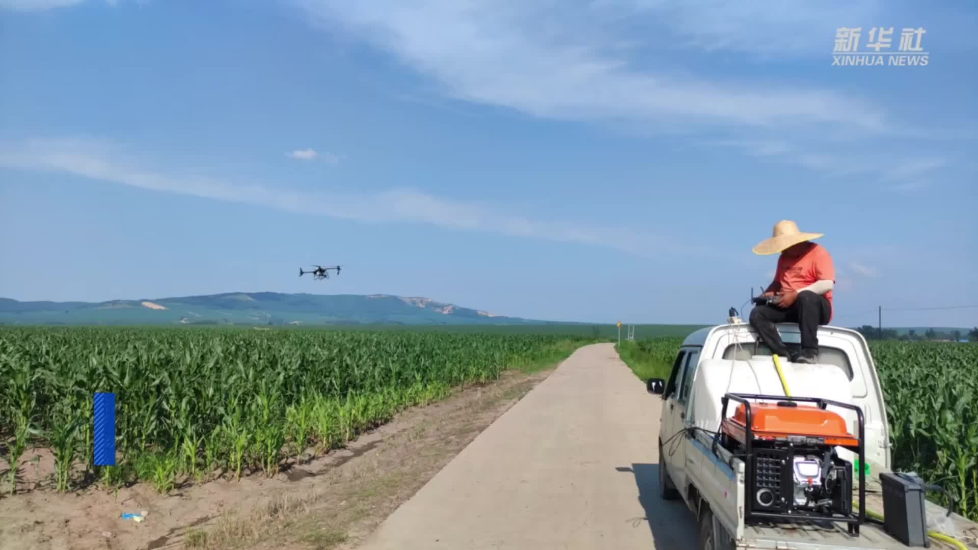 黑龙江海林：无人机喷施叶面肥助农增收