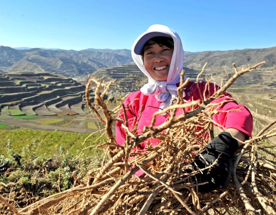 陇南：一座向绿而生的“生态宝库”