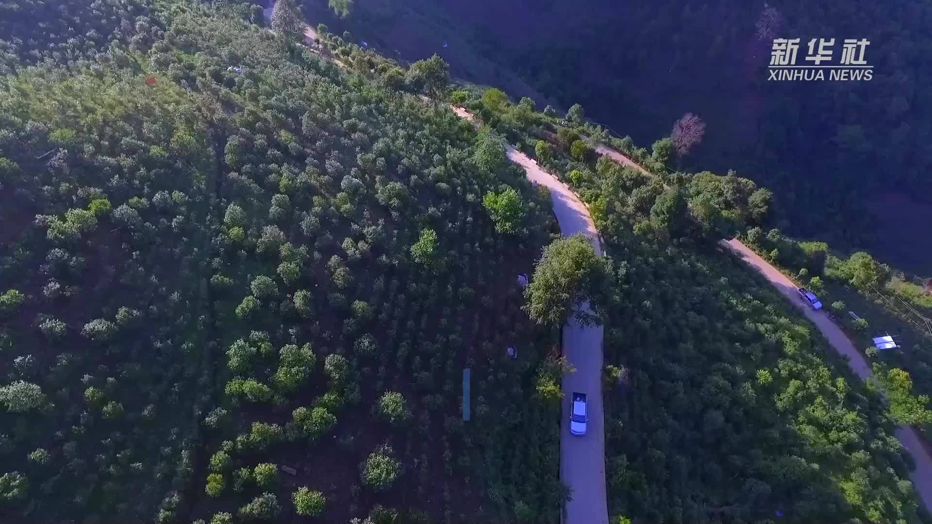 在云南双江遇见茶餐_凤凰网视频_凤凰网