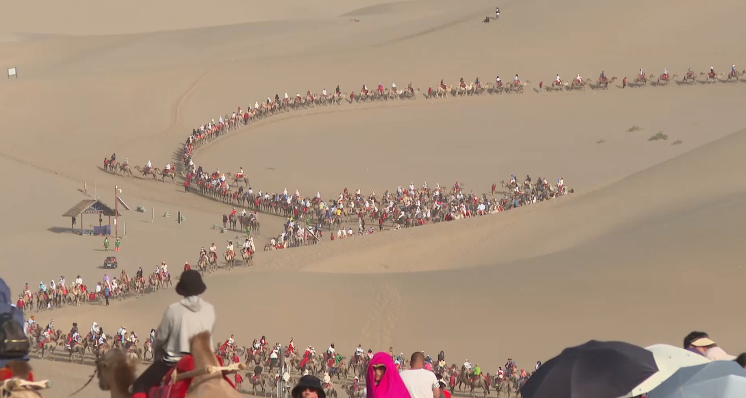 骑骆驼也要排队（图片来源：敦煌市融媒体中心）