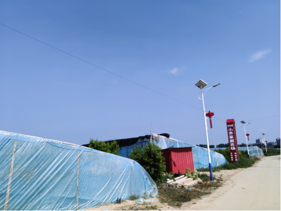 2023年河北省美丽休闲乡村媒体行——在沧州青县体验生态人文之美