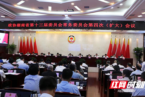 构建透明政府：民主监督的重要性