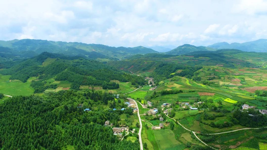 陇南：一座向绿而生的“生态宝库”