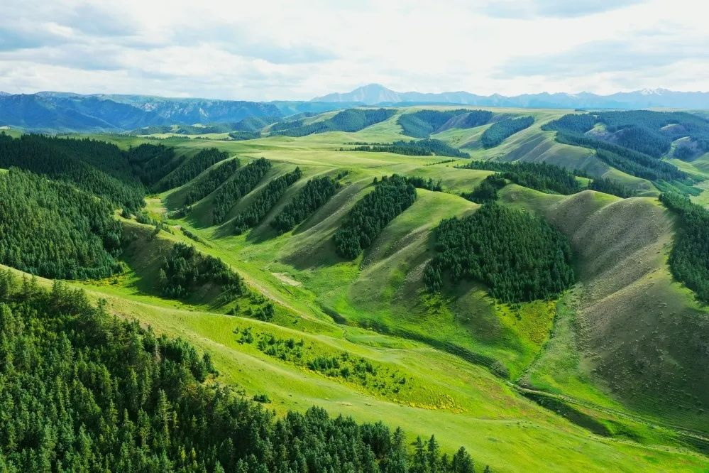 图|裕固风情旅游景区