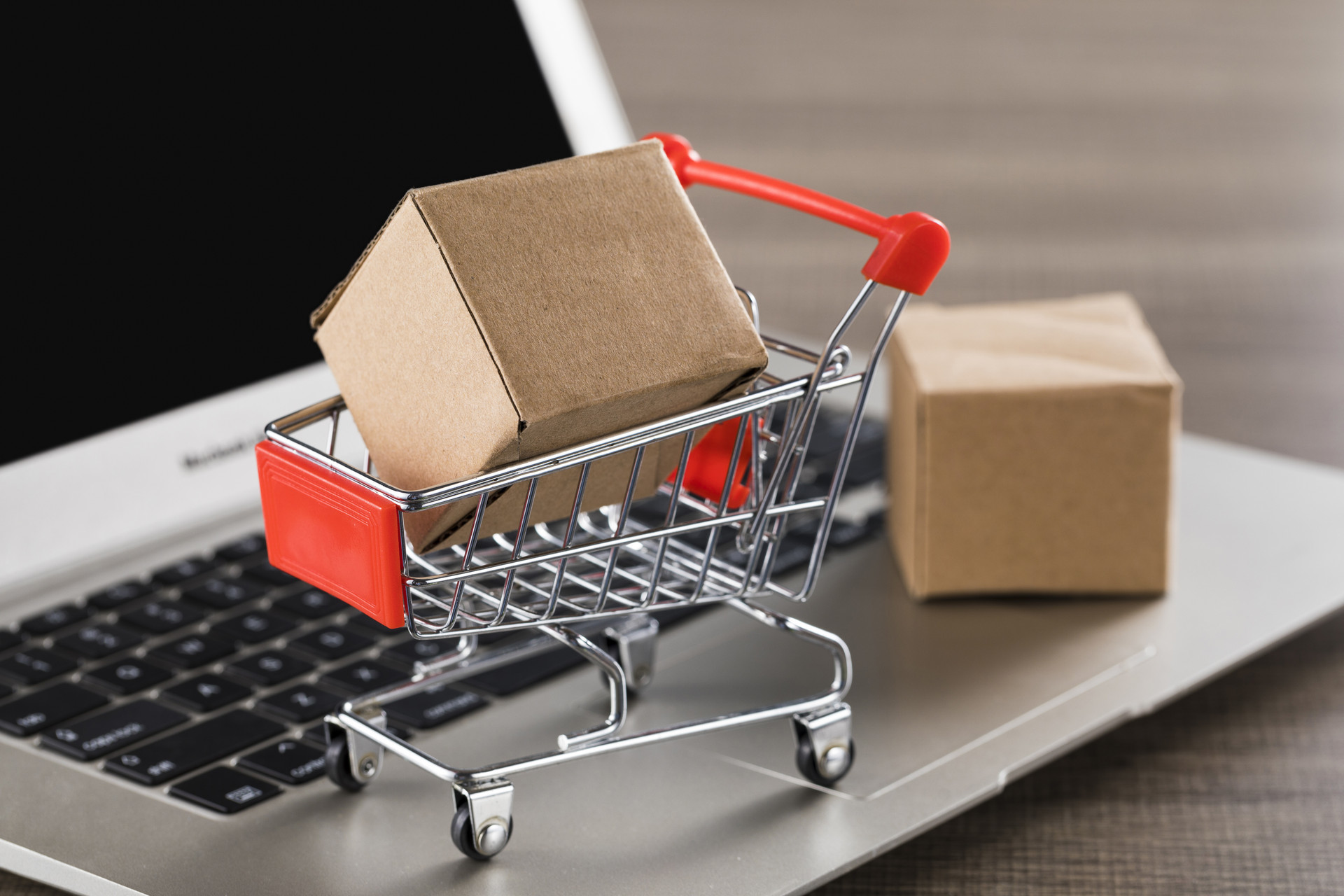 多项活动亮点纷呈 2023中国青岛跨境电商博览会开幕