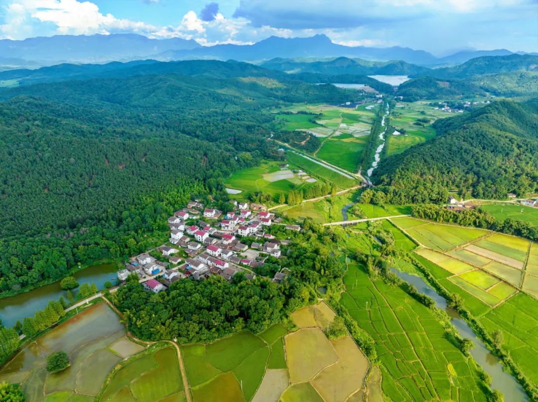 金溪：夏日乡村 生机盎然（图）