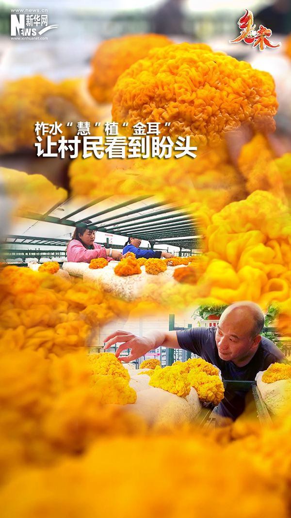 海报制图 新华网 杨喜龙