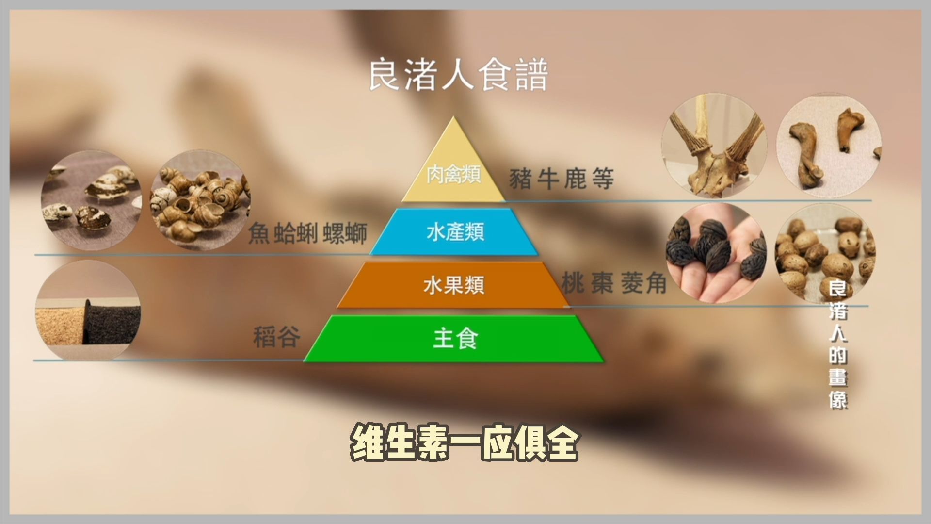 良渚人的食谱有什么？主副食搭配 蛋白质维生素一应俱全？