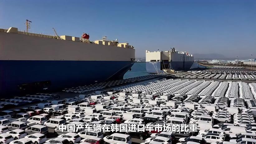 比亚迪领衔！中国车已占韩国进口商用车1/3市场份额