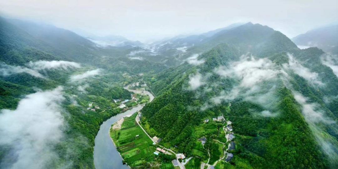 陇南：一座向绿而生的“生态宝库”