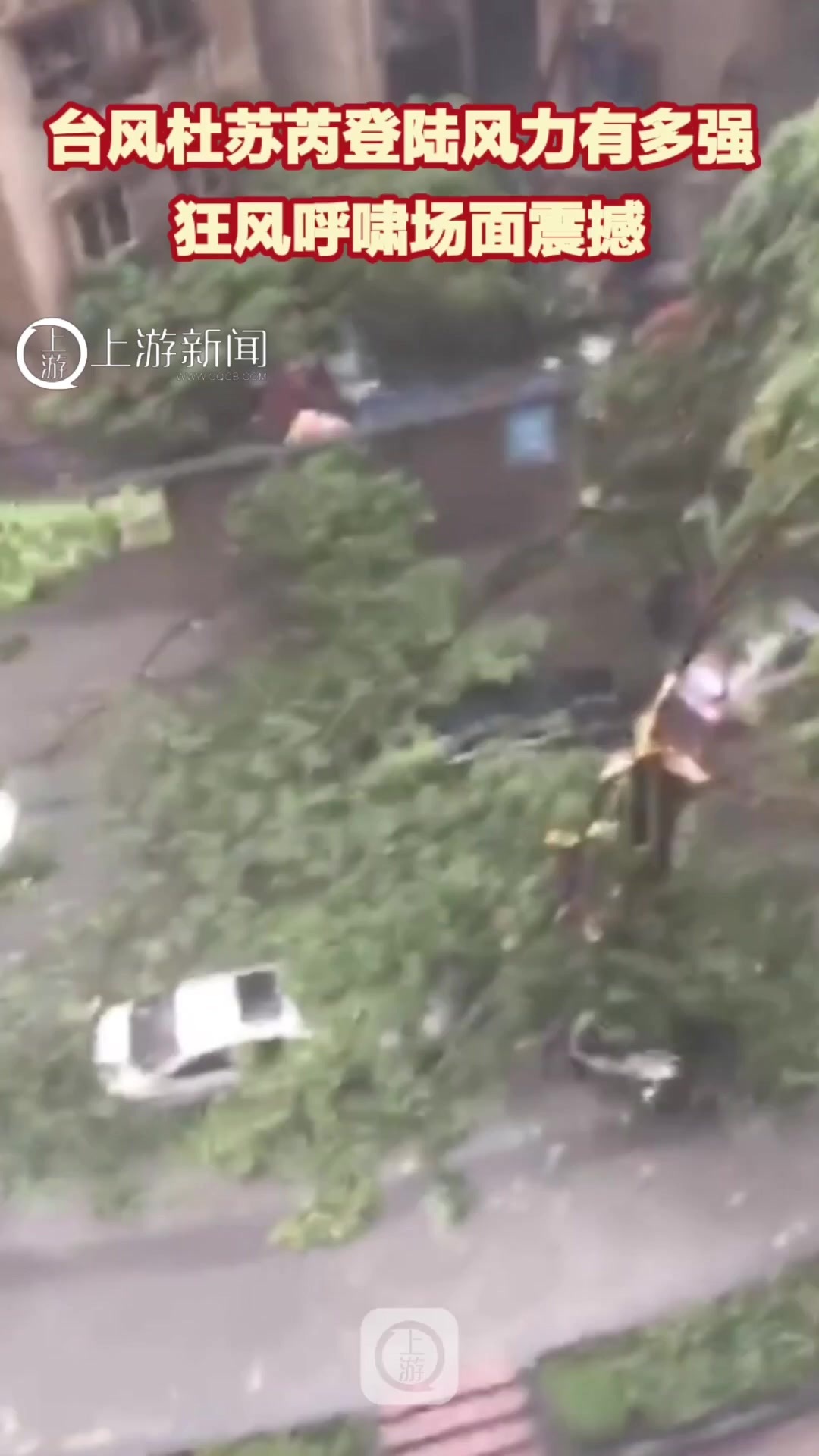 “杜苏芮”风力有多强？狂风呼啸巨浪拍岸场面震撼