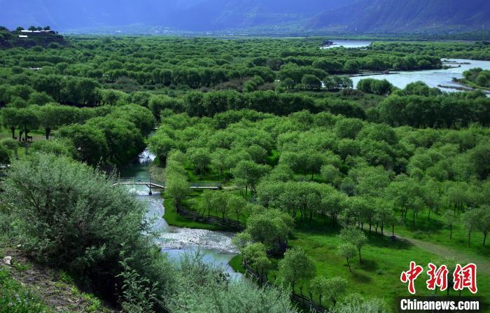 图为西藏雅尼国家湿地公园风光图。拉巴卓玛 摄