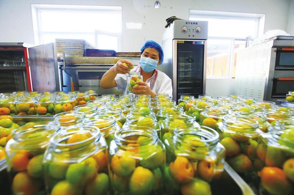 ⑦ 7月23日，嘉峪关市文殊镇塔湾村嘉农殊味农产品农民专业合作社的社员正在生产加工杏子罐头。马玉福 摄