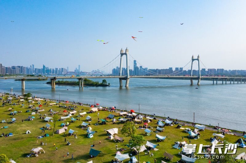 三汊矶大桥旁的湘江风光带上，市民搭着帐篷在草地上自由地玩耍。