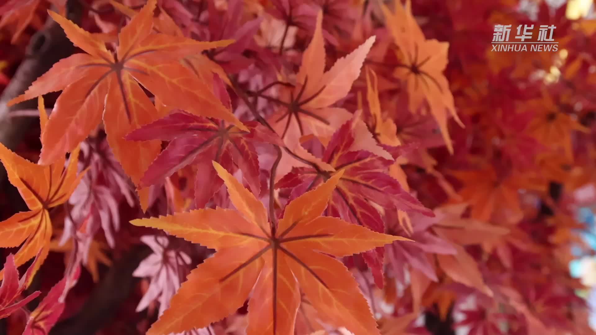 影院见！国产影片引领电影市场持续复苏