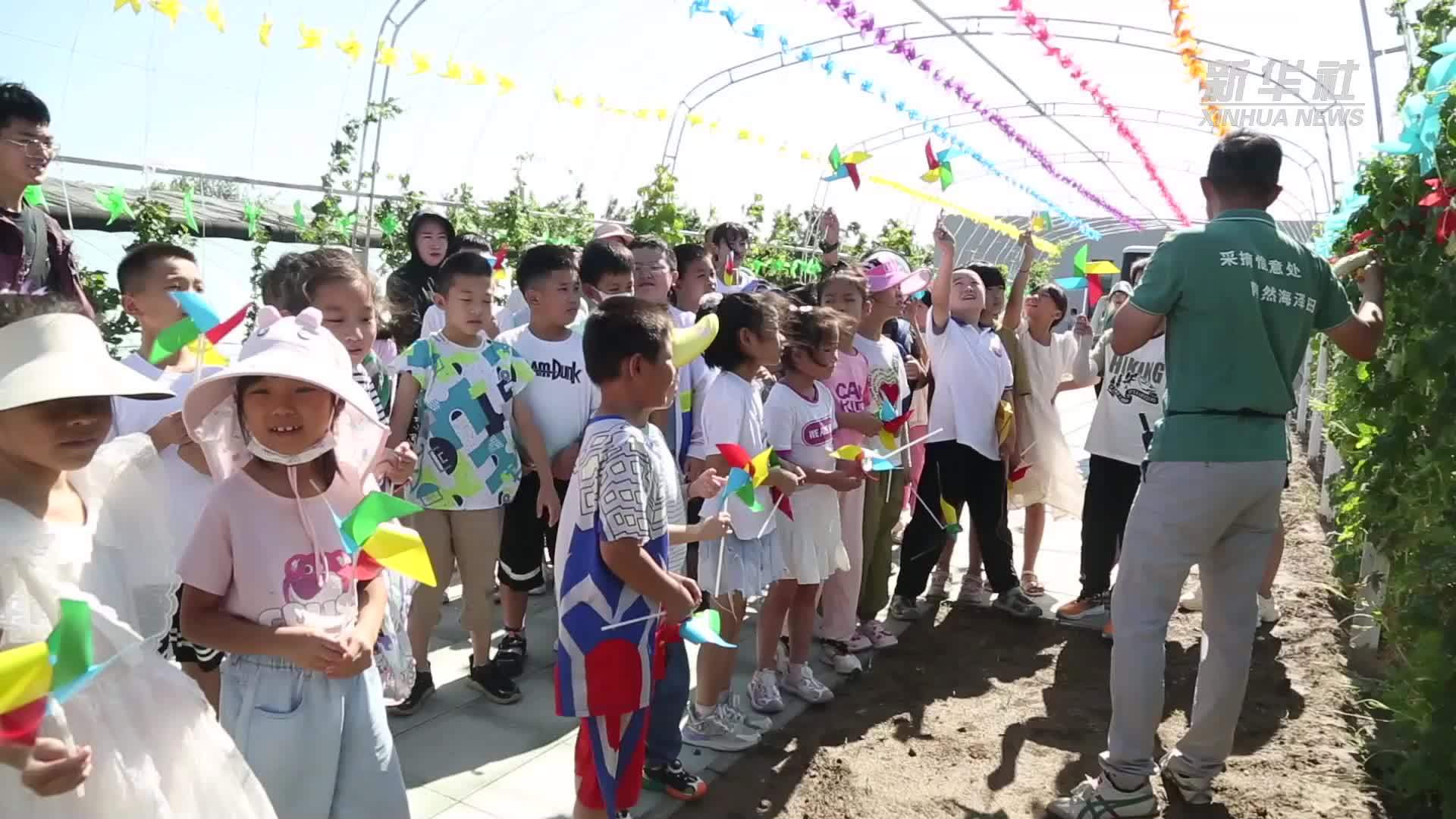 河北永清：农业研学带来文旅发展新动能