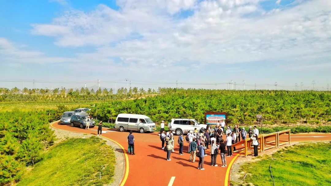 万亩常青林储备基地