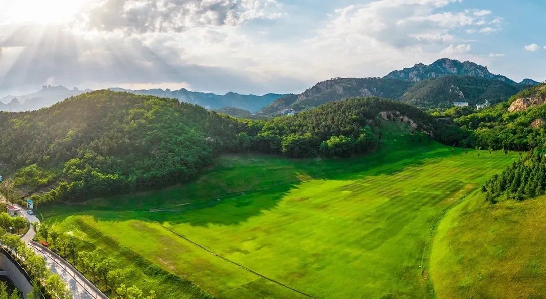 点击查看原始图片