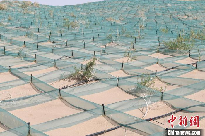 图为尼龙网沙障方格(资料图)戴文昌 摄