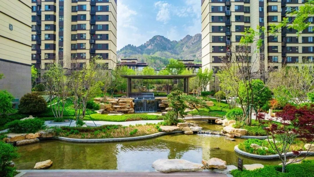 点击查看原始图片