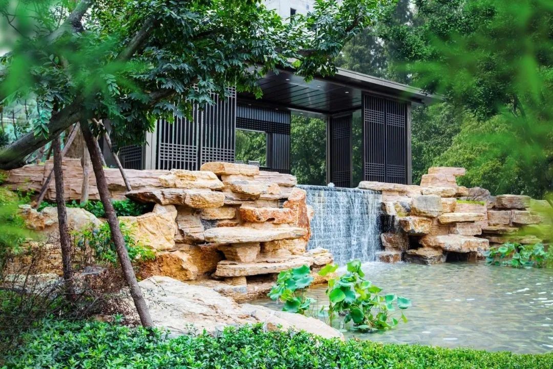 点击查看原始图片