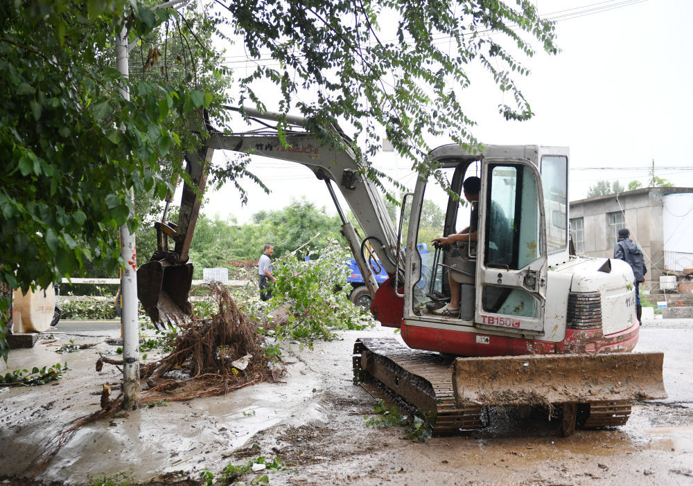 8月1日，在北京市房山区青龙湖镇上万村，工作人员清理倒伏树木。新华社记者 张晨霖 摄