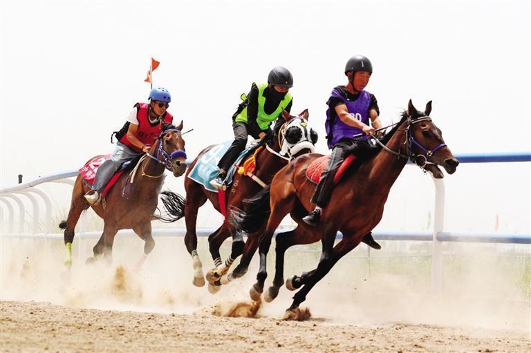 奔跑吧骆驼骏马！祁连山下各民族骑手超燃battle