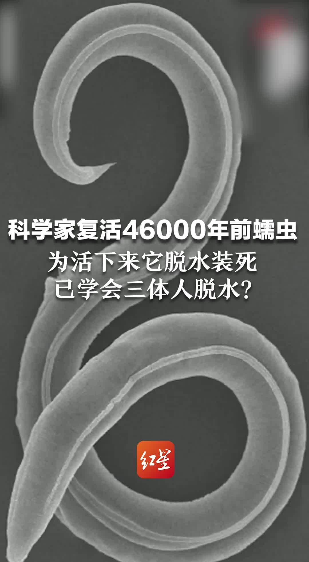 科学家复活46000年前蠕虫 为活下来它脱水装死 已学会三体人脱水？