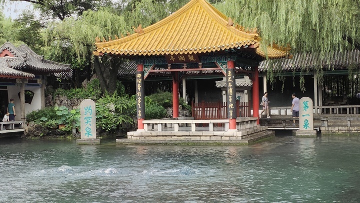 强降雨后泉水“活力大增” 趵突泉两天“长高”26厘米