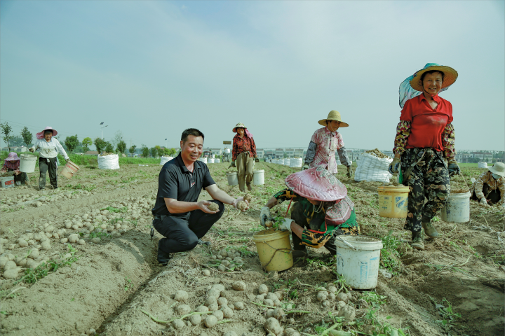 “农”墨重彩绘“丰”景——天门市上半年农业农村工作综述