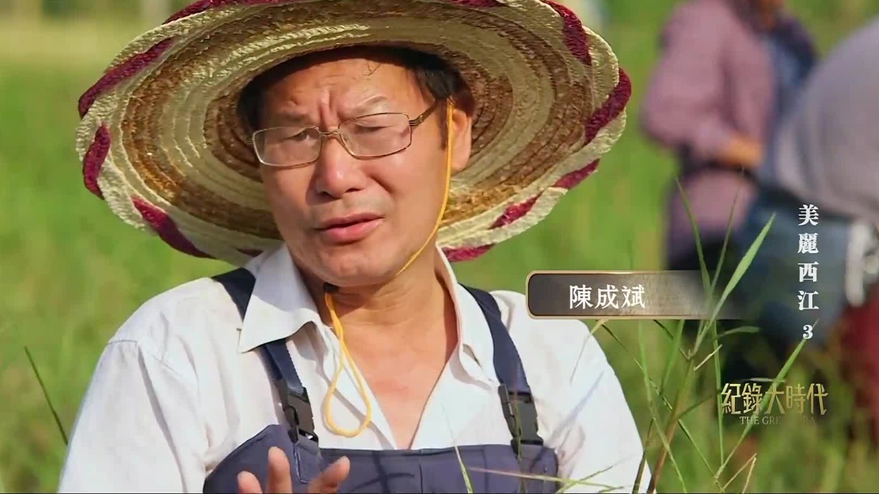 稻种专家走遍西江流域，带回数万野生稻样本，保存和繁殖了野生稻基因资源