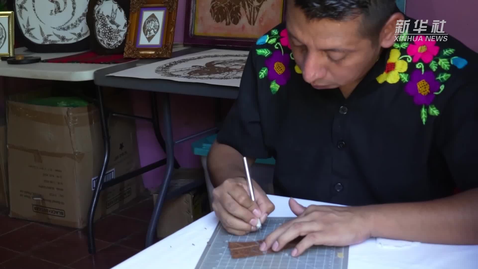 从落叶到艺术品 萨尔瓦多艺术家的雕刻之梦_凤凰网视频_凤凰网