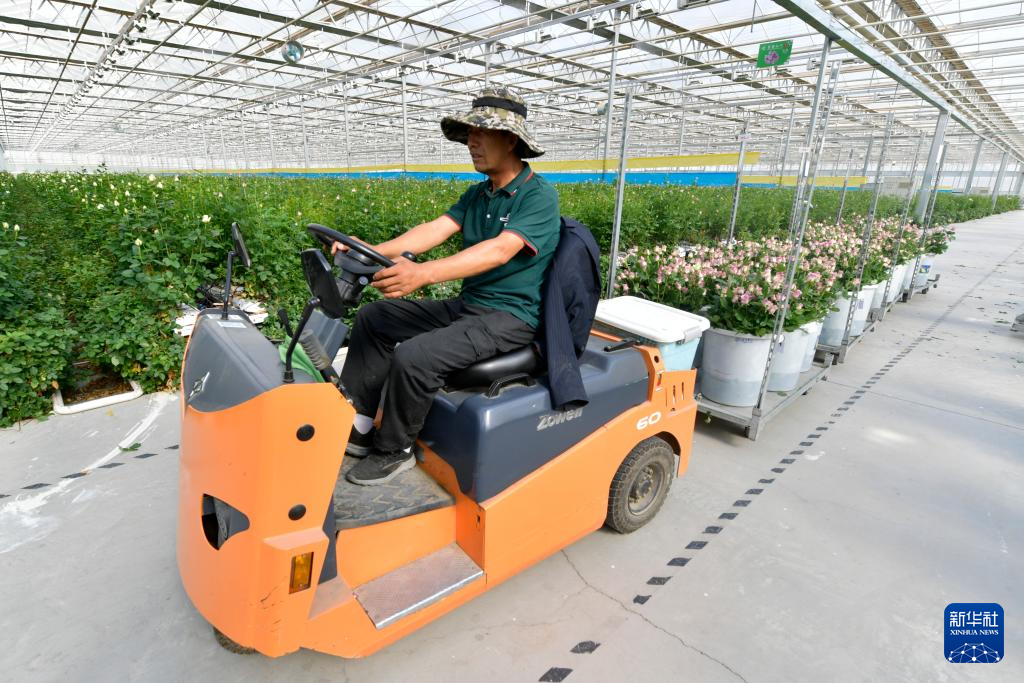 新华社记者 范培珅 摄