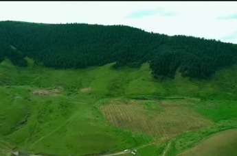 甘肃：建设绿色生态屏障 推进人与自然和谐共生现代化