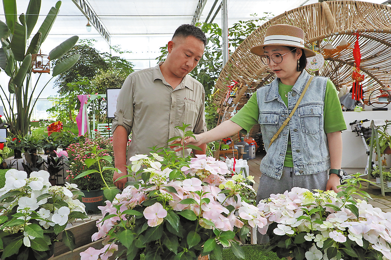 顾客在花卉市场挑选盆栽