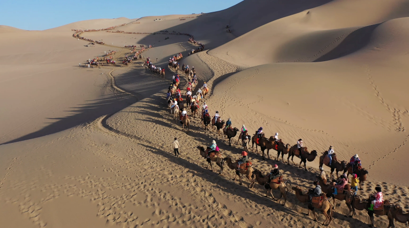 在大漠中行走的驼队 图源：鸣沙山月牙泉景区公众号