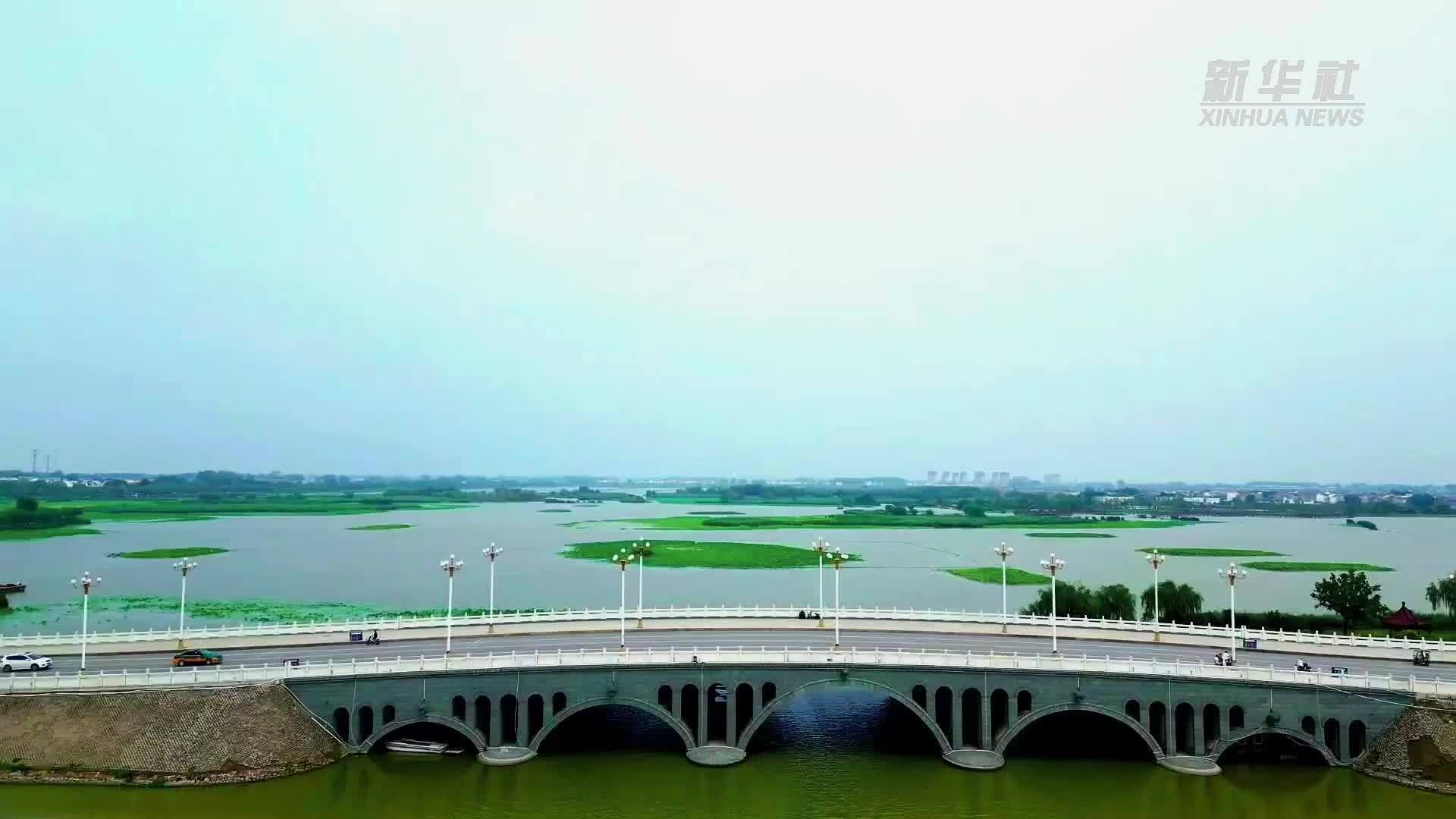 千城胜景｜万亩龙湖美 清凉沁荷香