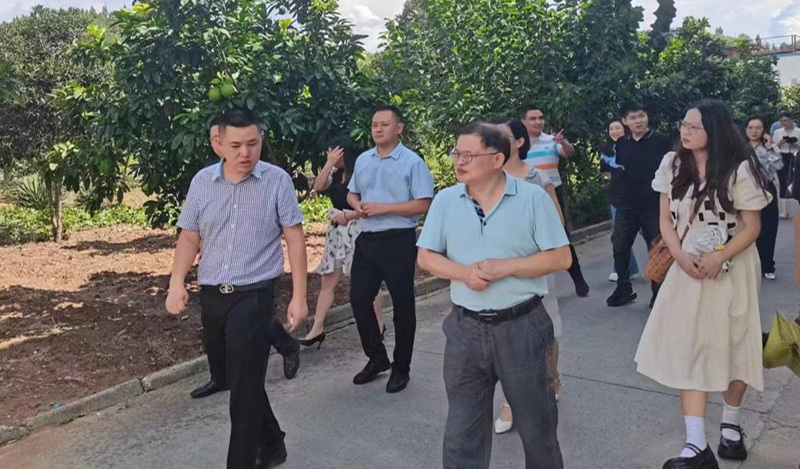 调研利州区食品工业产业