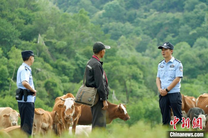 圖為天水市張家川縣馬鹿派出所所長馬明(右一)和同事在林區(qū)巡邏 (資料圖)張家川縣公安局供圖