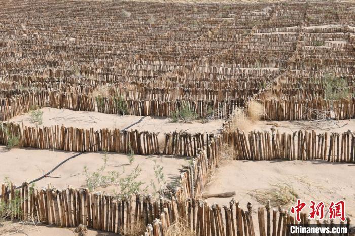图为生物秸秆草方格(资料图)戴文昌 摄