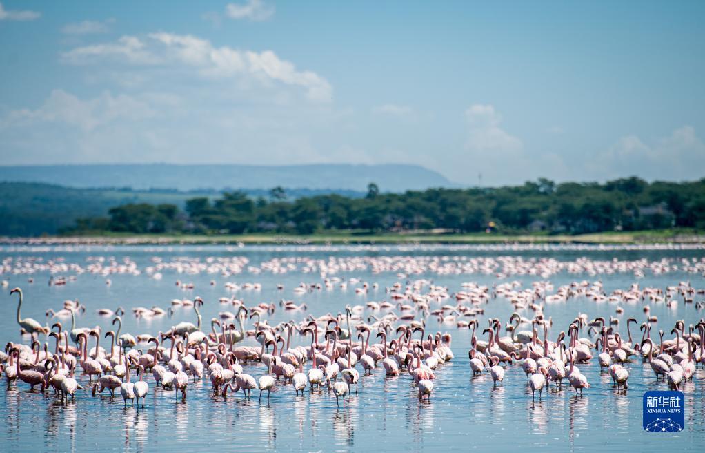 暑假请到非洲来旅游——肯尼亚