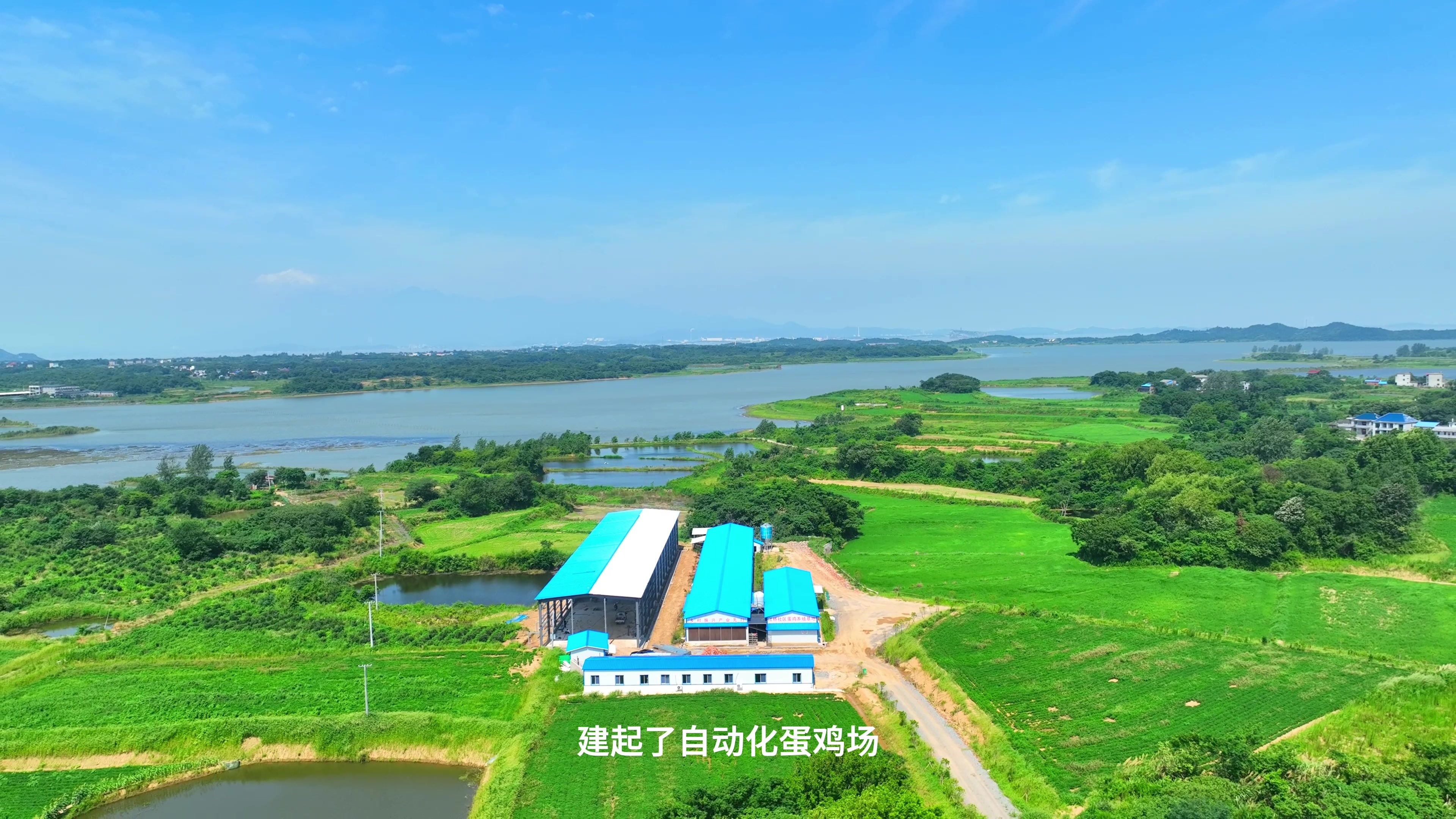 江西湖口县：“鸡倌”书记的VLOG