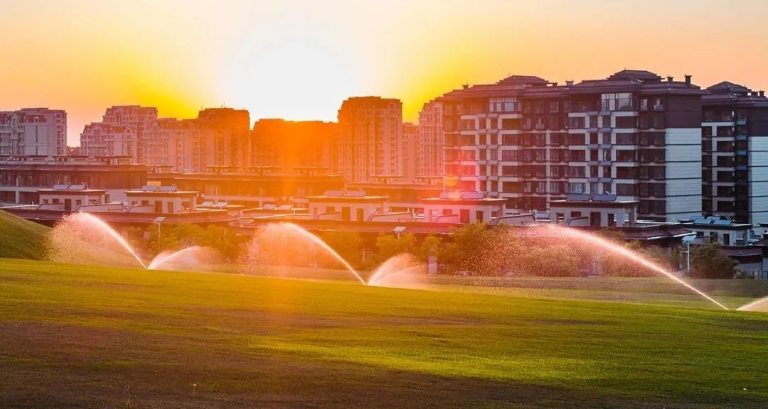 点击查看原始图片