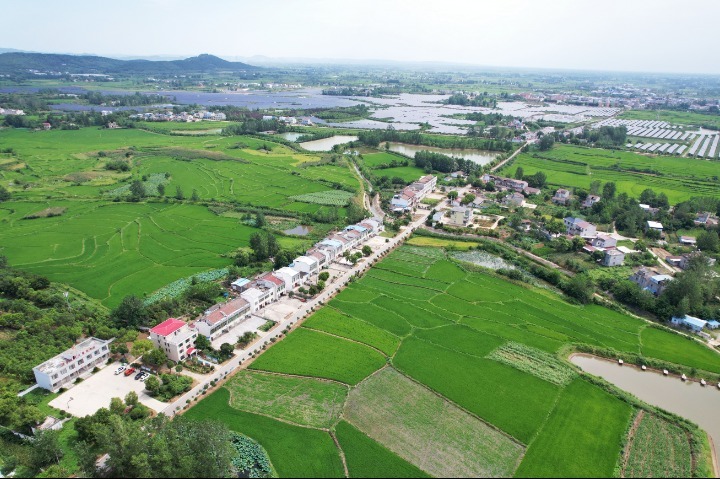 “农”墨重彩绘“丰”景——天门市上半年农业农村工作综述