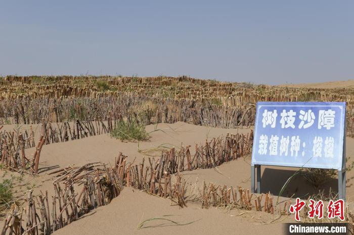 图为树枝沙障方格(资料图)戴文昌 摄