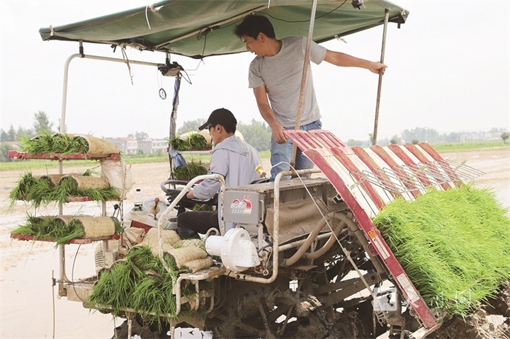 “农”墨重彩绘“丰”景——天门市上半年农业农村工作综述